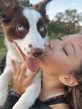 Raid Train Show✨✨✨